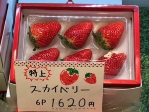 宇都宮駅で栃木の苺(いちご)「とちおとめ」「スカイベリー」を紹介