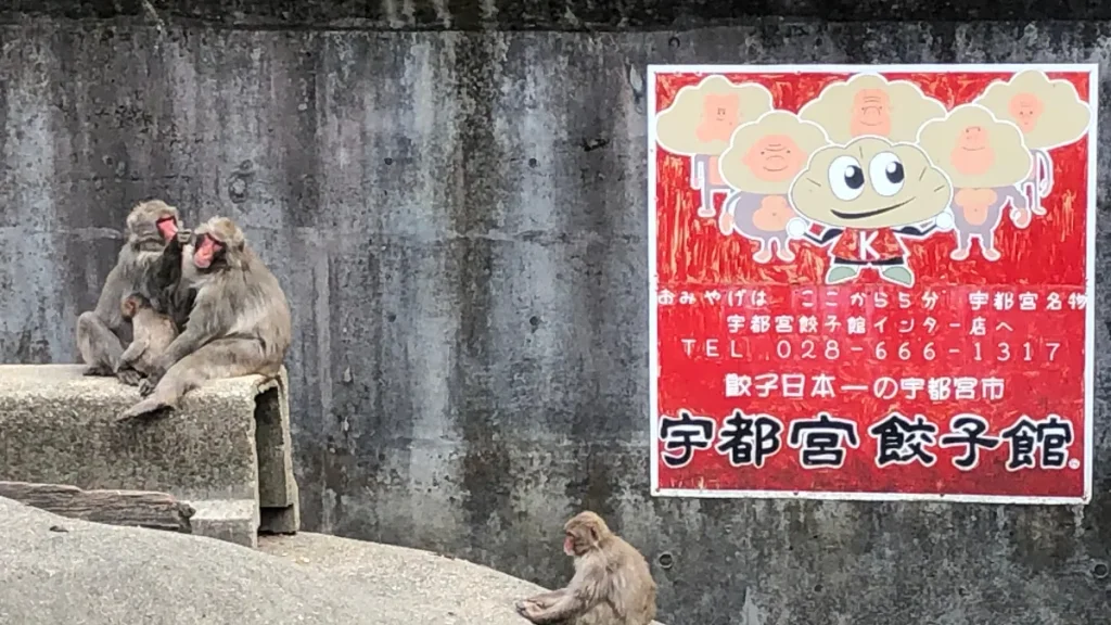 宇都宮動物園　スポンサー看板